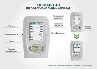 СКЭНАР-1-НТ (исполнение 01)  в Белово купить Скэнар официальный сайт - denasvertebra.ru 
